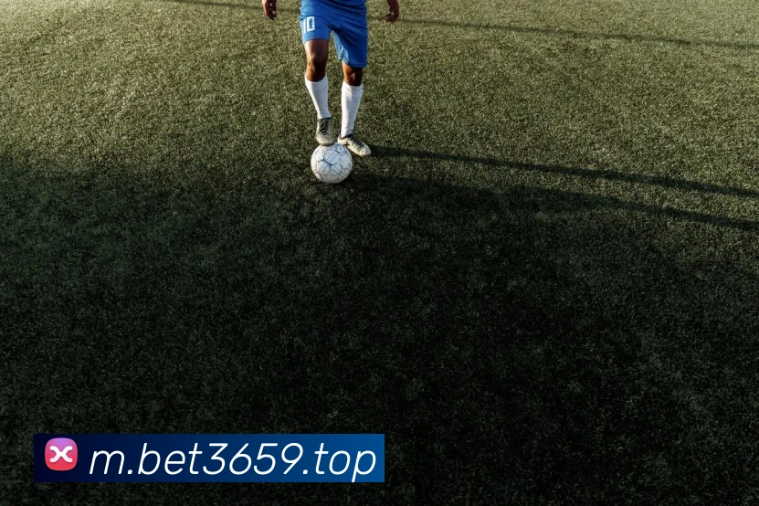 bet365中国官网发展历程
